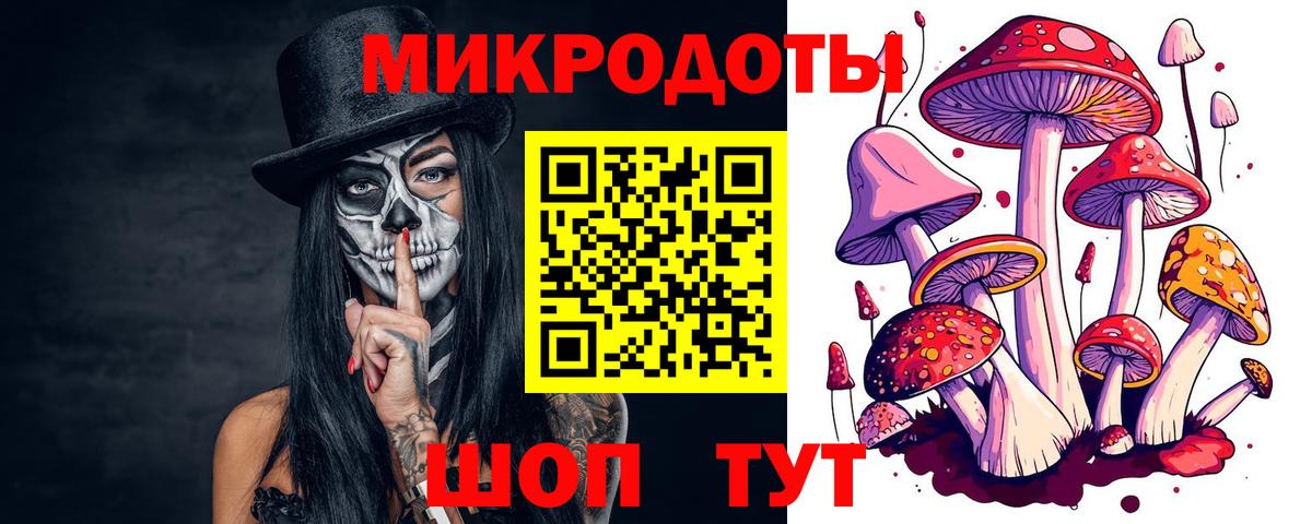Галлюциногенные грибы GOLDEN TEACHER Георгиевск