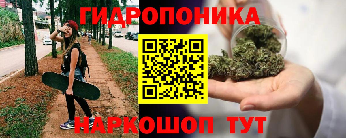 Бошки Шишки тримм  Вход с VPN  Каннабис VHQ  Бошки Шишки Amnesia  МАРИХУАНА марихуана  Георгиевск 